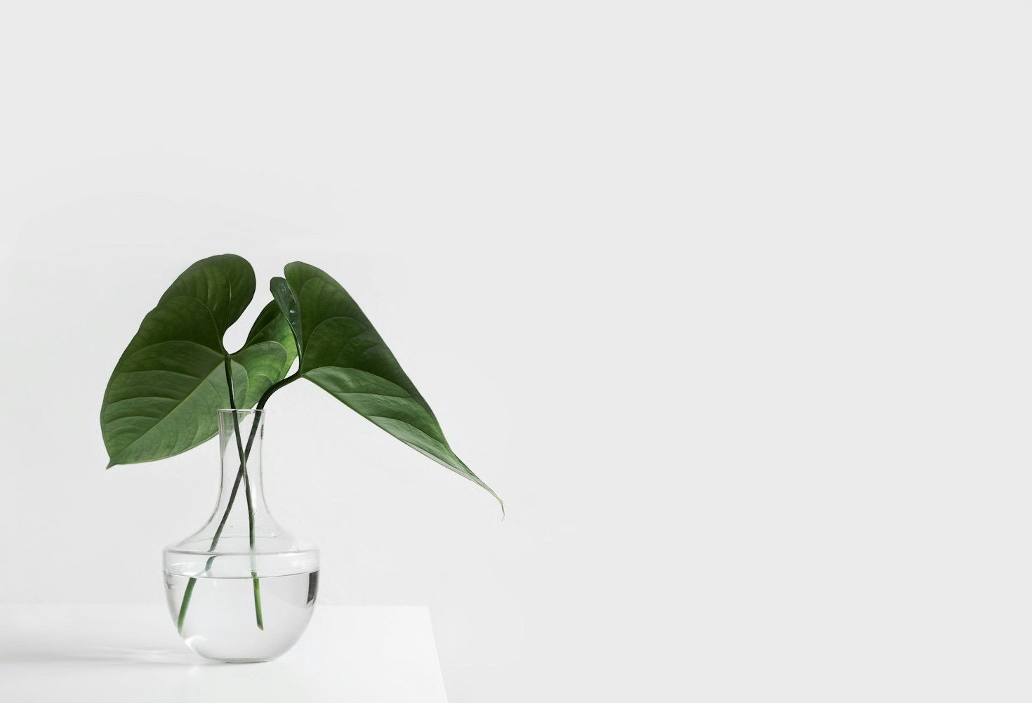 Slow living w praktyce: inspiracje i porady